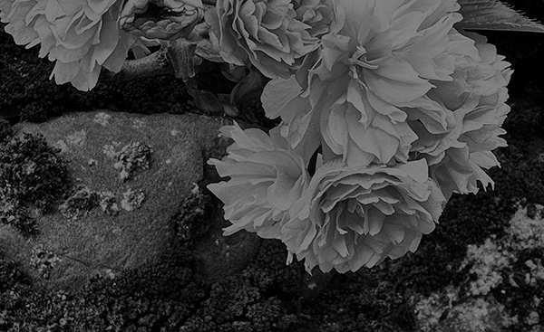 folle sagesse chamanisme et tantra gorka etxarri