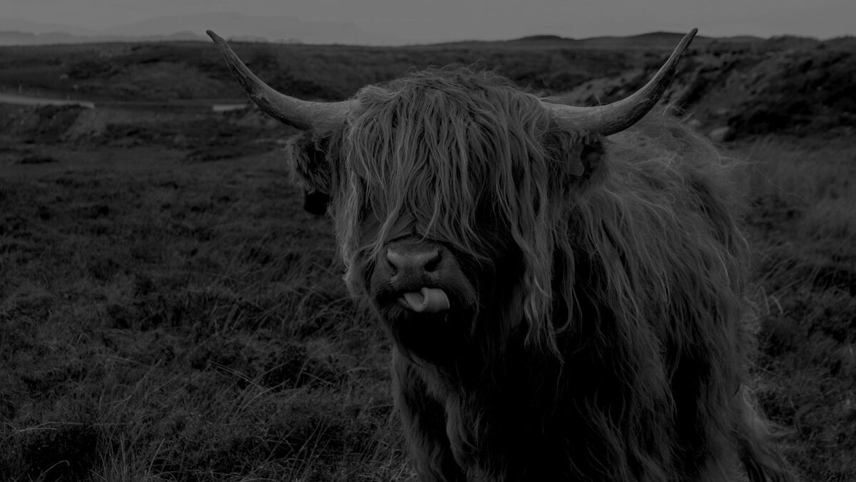 folles sagesse glencoe