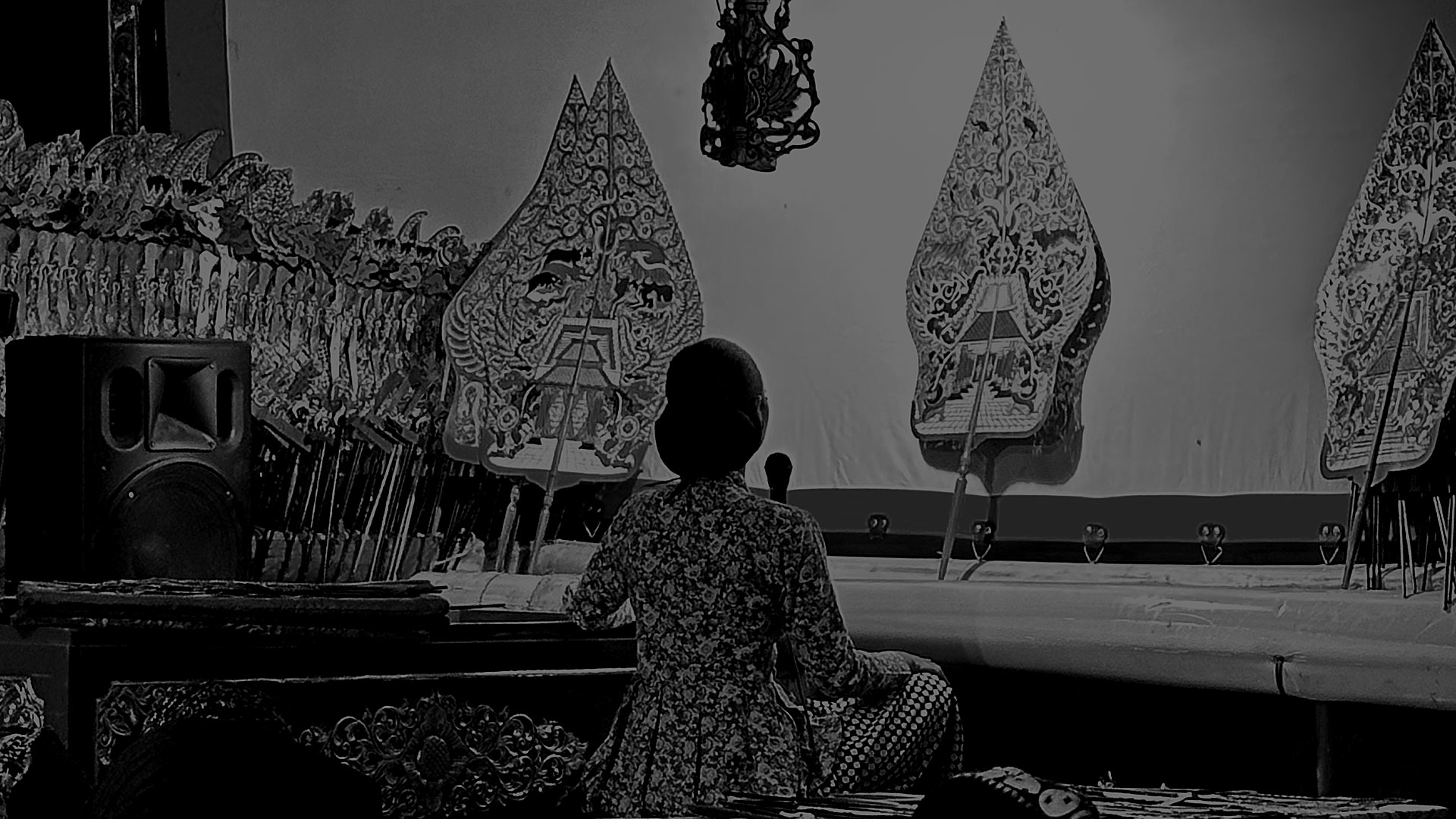 folle sagesse wayang kulit