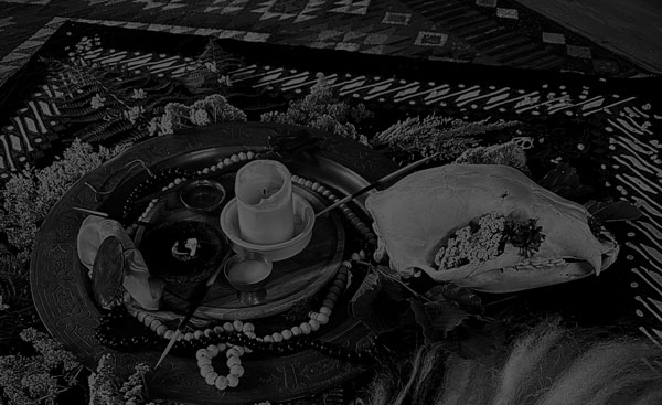 folle sagesse reve chamanique